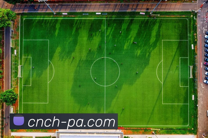 PA真人官网平台生态图