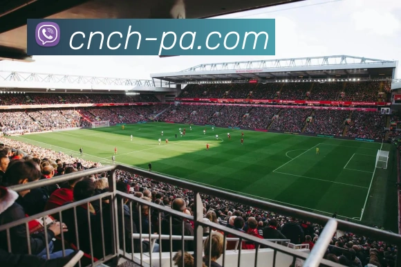 PA真人官网全站App